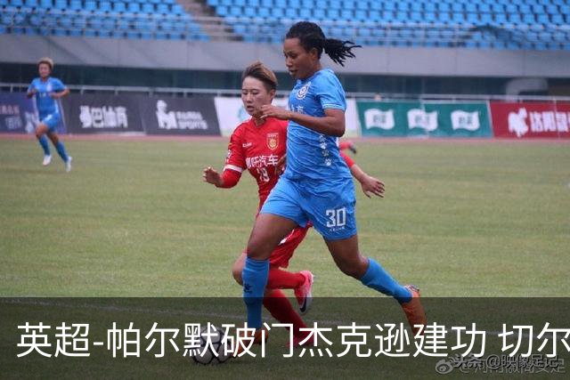 英超-帕尔默破门杰克逊建功 切尔西2-1纽卡斯尔